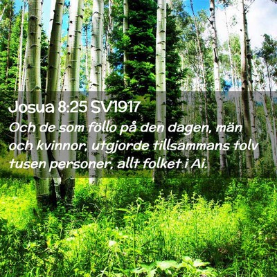 Picture 02 - Josua 8:25 SV1917 - Och de som föllo på den dagen, män och - Bible Verse Picture
