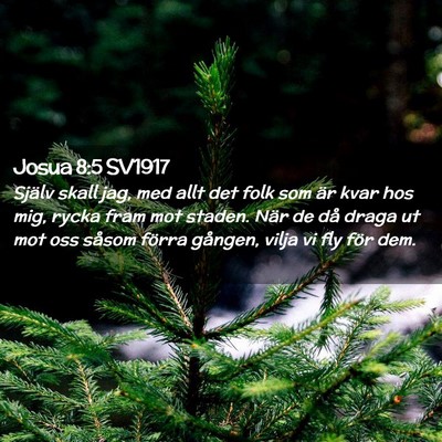 Picture 02 - Josua 8:5 SV1917 - Själv skall jag, med allt det folk som är kvar - Bible Verse Picture
