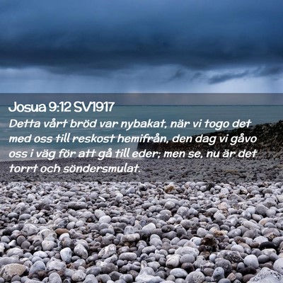 Picture 02 - Josua 9:12 SV1917 - Detta vårt bröd var nybakat, när vi togo det - Bible Verse Picture