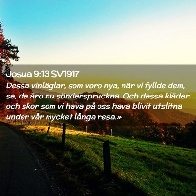 Picture 02 - Josua 9:13 SV1917 - Dessa vinläglar, som voro nya, när vi fyllde - Bible Verse Picture