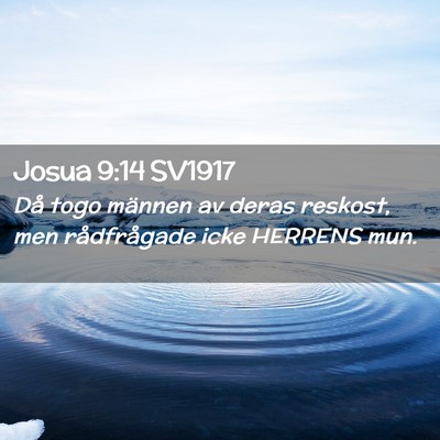 Picture 02 - Josua 9:14 SV1917 - Då togo männen av deras reskost, men - Bible Verse Picture