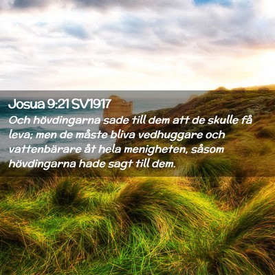 Picture 02 - Josua 9:21 SV1917 - Och hövdingarna sade till dem att de skulle få - Bible Verse Picture