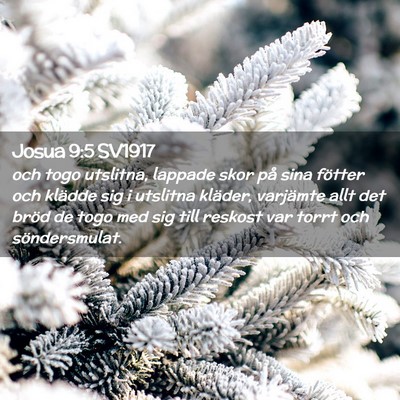 Picture 02 - Josua 9:5 SV1917 - och togo utslitna, lappade skor på sina fötter - Bible Verse Picture