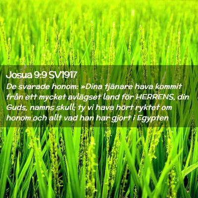 Picture 02 - Josua 9:9 SV1917 - De svarade honom: »Dina tjänare hava kommit - Bible Verse Picture