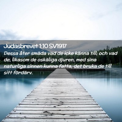 Picture 02 - Judasbrevet 1:10 SV1917 - Dessa åter smäda vad de icke känna till; och - Bible Verse Picture