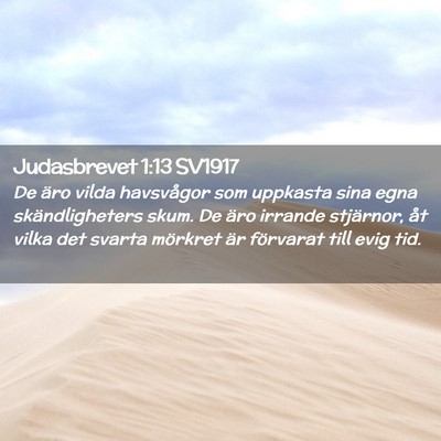 Picture 02 - Judasbrevet 1:13 SV1917 - De äro vilda havsvågor som uppkasta sina egna - Bible Verse Picture