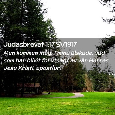 Picture 02 - Judasbrevet 1:17 SV1917 - Men kommen ihåg, I mina älskade, vad som har - Bible Verse Picture