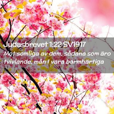 Picture 02 - Judasbrevet 1:22 SV1917 - Mot somliga av dem, sådana som äro tvivlande, - Bible Verse Picture