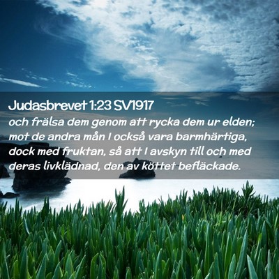 Picture 02 - Judasbrevet 1:23 SV1917 - och frälsa dem genom att rycka dem ur elden; mot - Bible Verse Picture