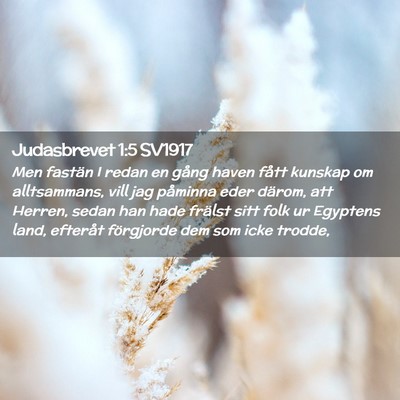 Picture 02 - Judasbrevet 1:5 SV1917 - Men fastän I redan en gång haven fått kunskap - Bible Verse Picture