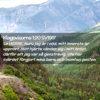 Picture 02 - Klagovisorna 1:20 SV1917 - Se HERRE, huru jag är i nöd, mitt innersta är - Bible Verse Picture