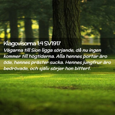 Picture 02 - Klagovisorna 1:4 SV1917 - Vägarna till Sion ligga sörjande, då nu ingen - Bible Verse Picture
