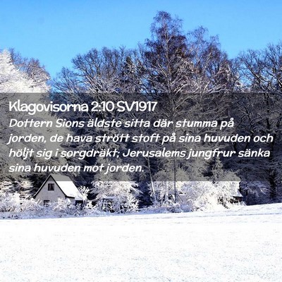 Picture 02 - Klagovisorna 2:10 SV1917 - Dottern Sions äldste sitta där stumma på - Bible Verse Picture