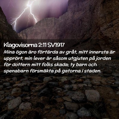 Picture 02 - Klagovisorna 2:11 SV1917 - Mina ögon äro förtärda av gråt, mitt - Bible Verse Picture