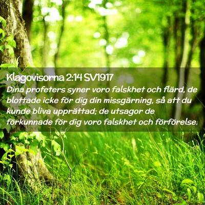 Picture 02 - Klagovisorna 2:14 SV1917 - Dina profeters syner voro falskhet och flärd, de - Bible Verse Picture