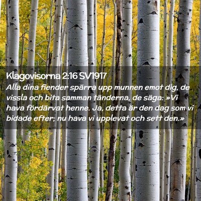 Picture 02 - Klagovisorna 2:16 SV1917 - Alla dina fiender spärra upp munnen emot dig, de - Bible Verse Picture