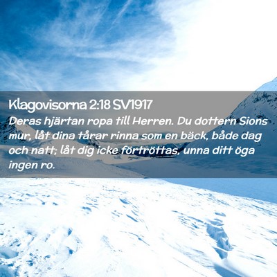 Picture 02 - Klagovisorna 2:18 SV1917 - Deras hjärtan ropa till Herren. Du dottern Sions - Bible Verse Picture