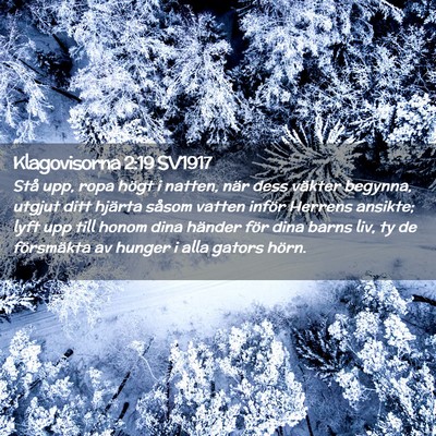 Picture 02 - Klagovisorna 2:19 SV1917 - Stå upp, ropa högt i natten, när dess väkter - Bible Verse Picture