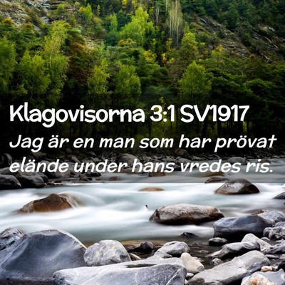 Picture 02 - Klagovisorna 3:1 SV1917 - Jag är en man som har prövat elände under hans - Bible Verse Picture