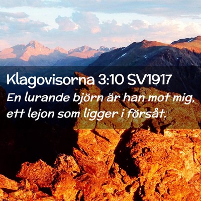 Picture 02 - Klagovisorna 3:10 SV1917 - En lurande björn är han mot mig, ett lejon som - Bible Verse Picture