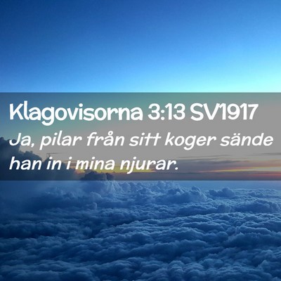 Picture 02 - Klagovisorna 3:13 SV1917 - Ja, pilar från sitt koger sände han in i mina - Bible Verse Picture