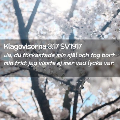 Picture 02 - Klagovisorna 3:17 SV1917 - Ja, du förkastade min själ och tog bort min - Bible Verse Picture