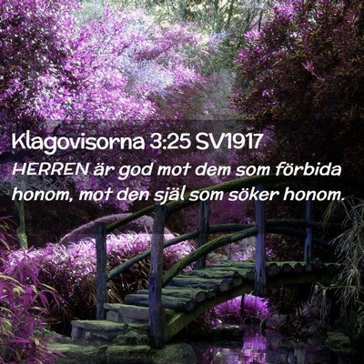 Picture 02 - Klagovisorna 3:25 SV1917 - HERREN är god mot dem som förbida honom, mot - Bible Verse Picture
