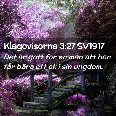 Picture 02 - Klagovisorna 3:27 SV1917 - Det är gott för en man att han får bära ett - Bible Verse Picture