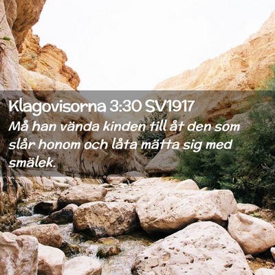 Picture 02 - Klagovisorna 3:30 SV1917 - Må han vända kinden till åt den som slår - Bible Verse Picture