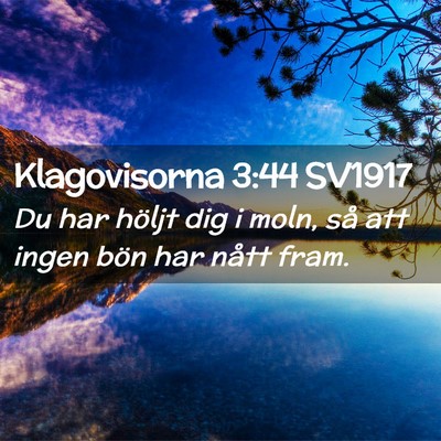 Picture 02 - Klagovisorna 3:44 SV1917 - Du har höljt dig i moln, så att ingen bön har - Bible Verse Picture