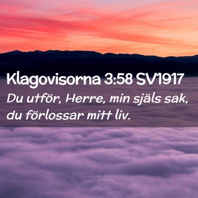 Picture 02 - Klagovisorna 3:58 SV1917 - Du utför, Herre, min själs sak, du förlossar - Bible Verse Picture