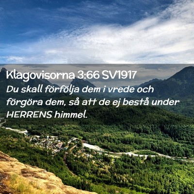Picture 02 - Klagovisorna 3:66 SV1917 - Du skall förfölja dem i vrede och förgöra - Bible Verse Picture