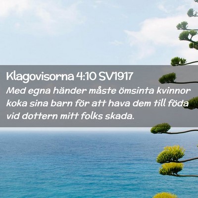 Picture 02 - Klagovisorna 4:10 SV1917 - Med egna händer måste ömsinta kvinnor koka - Bible Verse Picture