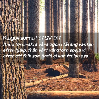 Picture 02 - Klagovisorna 4:17 SV1917 - Ännu försmäkta våra ögon i fåfäng väntan - Bible Verse Picture
