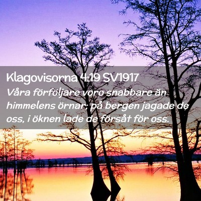 Picture 02 - Klagovisorna 4:19 SV1917 - Våra förföljare voro snabbare än himmelens - Bible Verse Picture