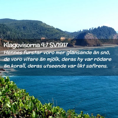 Picture 02 - Klagovisorna 4:7 SV1917 - Hennes furstar voro mer glänsande än snö, de - Bible Verse Picture