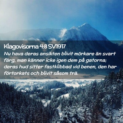 Picture 02 - Klagovisorna 4:8 SV1917 - Nu hava deras ansikten blivit mörkare än svart - Bible Verse Picture