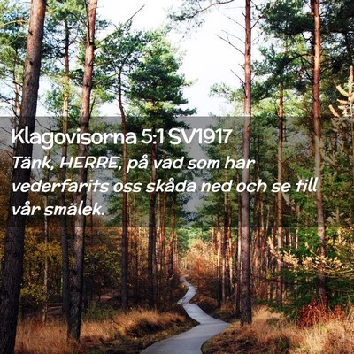 Picture 02 - Klagovisorna 5:1 SV1917 - Tänk, HERRE, på vad som har vederfarits oss - Bible Verse Picture