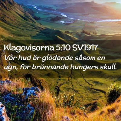 Picture 02 - Klagovisorna 5:10 SV1917 - Vår hud är glödande såsom en ugn, för - Bible Verse Picture