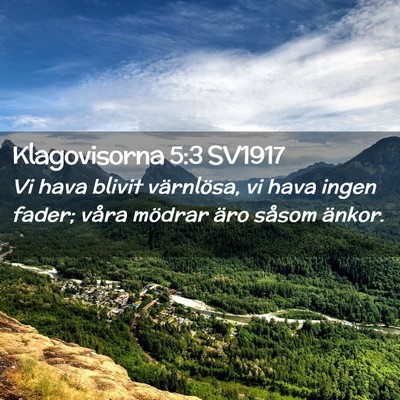Picture 02 - Klagovisorna 5:3 SV1917 - Vi hava blivit värnlösa, vi hava ingen fader; - Bible Verse Picture