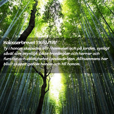 Picture 02 - Kolosserbrevet 1:16 SV1917 - Ty i honom skapades allt i himmelen och på - Bible Verse Picture