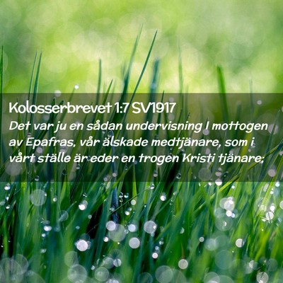 Picture 02 - Kolosserbrevet 1:7 SV1917 - Det var ju en sådan undervisning I mottogen av - Bible Verse Picture