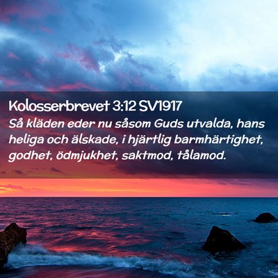 Picture 02 - Kolosserbrevet 3:12 SV1917 - Så kläden eder nu såsom Guds utvalda, hans - Bible Verse Picture