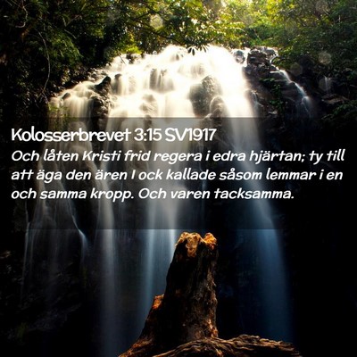 Picture 02 - Kolosserbrevet 3:15 SV1917 - Och låten Kristi frid regera i edra hjärtan; ty - Bible Verse Picture