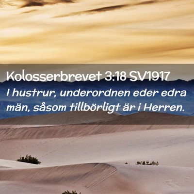 Picture 02 - Kolosserbrevet 3:18 SV1917 - I hustrur, underordnen eder edra män, såsom - Bible Verse Picture