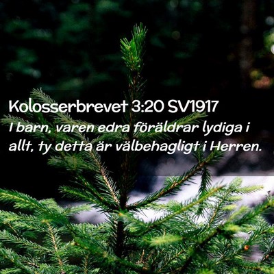 Picture 02 - Kolosserbrevet 3:20 SV1917 - I barn, varen edra föräldrar lydiga i allt, ty - Bible Verse Picture