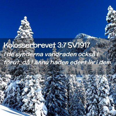 Picture 02 - Kolosserbrevet 3:7 SV1917 - I de synderna vandraden också I förut, då I - Bible Verse Picture