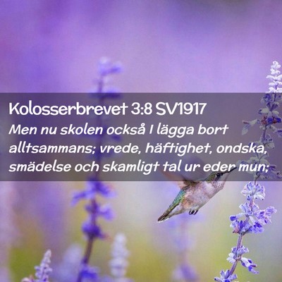 Picture 02 - Kolosserbrevet 3:8 SV1917 - Men nu skolen också I lägga bort alltsammans; - Bible Verse Picture