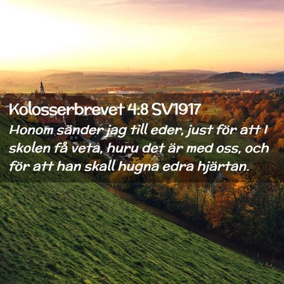 Picture 02 - Kolosserbrevet 4:8 SV1917 - Honom sänder jag till eder, just för att I - Bible Verse Picture