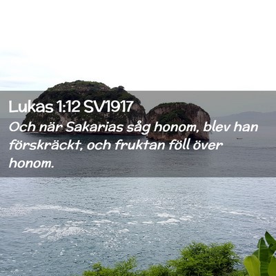Picture 02 - Lukas 1:12 SV1917 - Och när Sakarias såg honom, blev han - Bible Verse Picture
